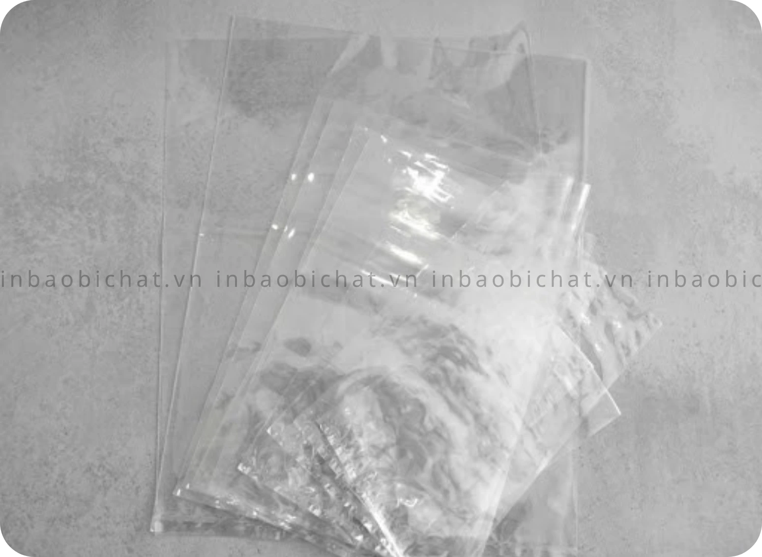 Các size túi bóng kính PP thông dụng từ nhỏ đến 