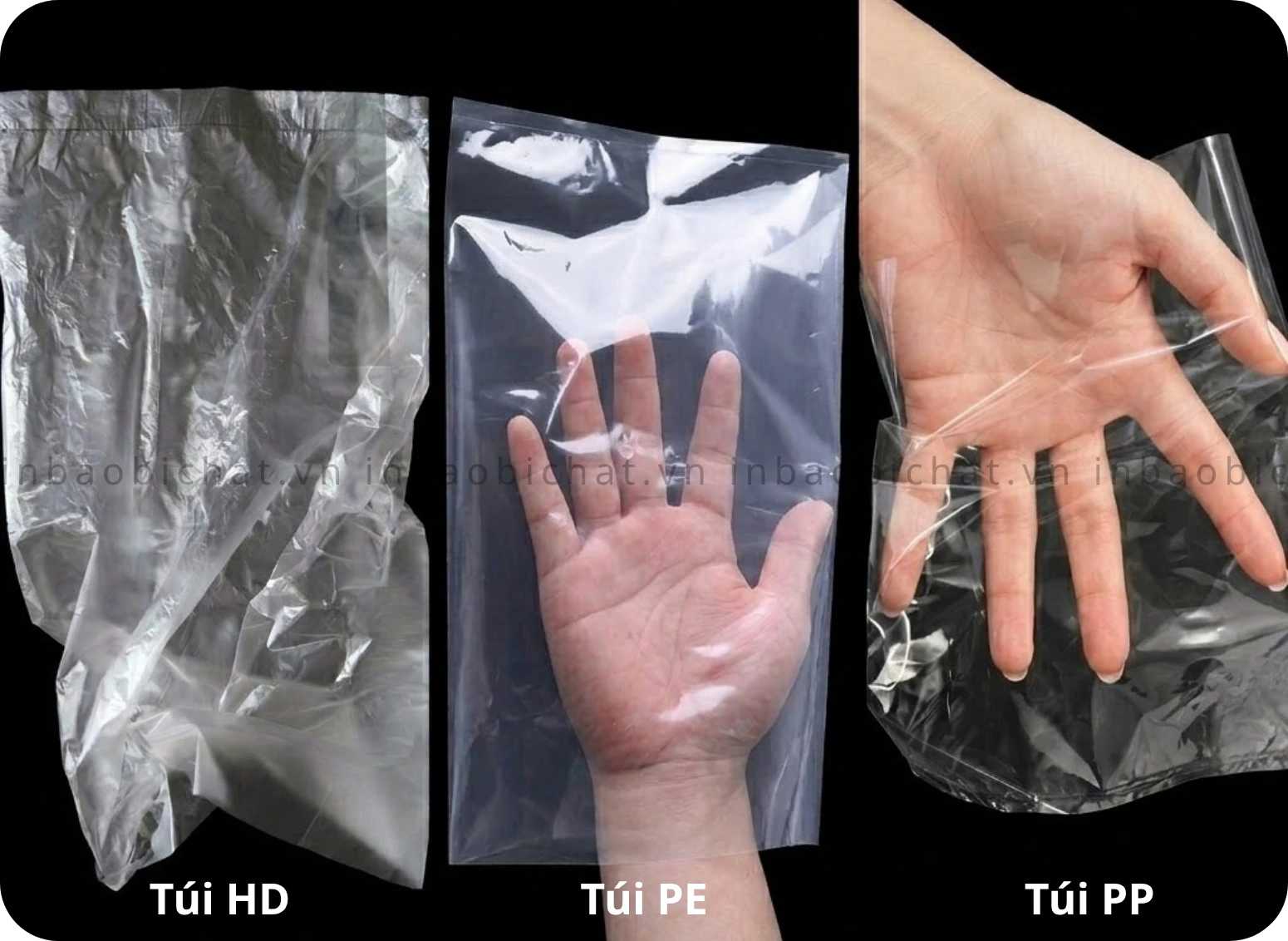 So sánh độ dẻo túi PE và độ trong túi PP và túi 
