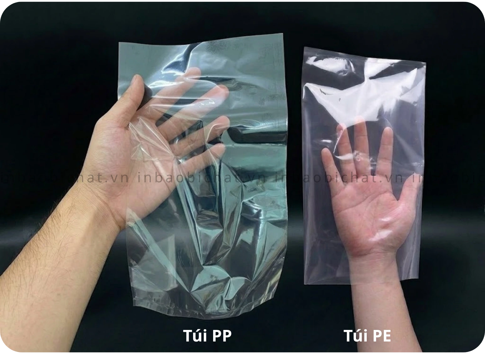 So sánh độ trong và độ cứng giữa túi nhựa PP và PE