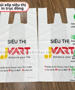 in túi xốp siêu thị cho chuỗi siêu thị, túi nilon mini mart, túi xốp 2 quai cửa hàng tự chọn, in sô lượng lớn giá rẻ, đẹp, in logo thương hiệu theo yêu cầu