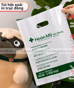 Túi hột xoài in logo thương hiệu theo yêu cầu bằng phương pháp in trục đồng cho nhà thuốc, bệnh viện, in số lượng lớn, giá rẻ