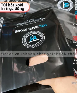 In logo thương hiệu túi hột xoài theo yêu cầu, in túi shop nilon giá rẻ