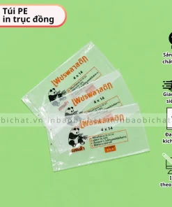 in túi pe trong campuchia, in túi pe trong số lượng lớn, in túi pe trong giá rẻ, in ống đồng tui pe trong, túi pe trong in nhều màu